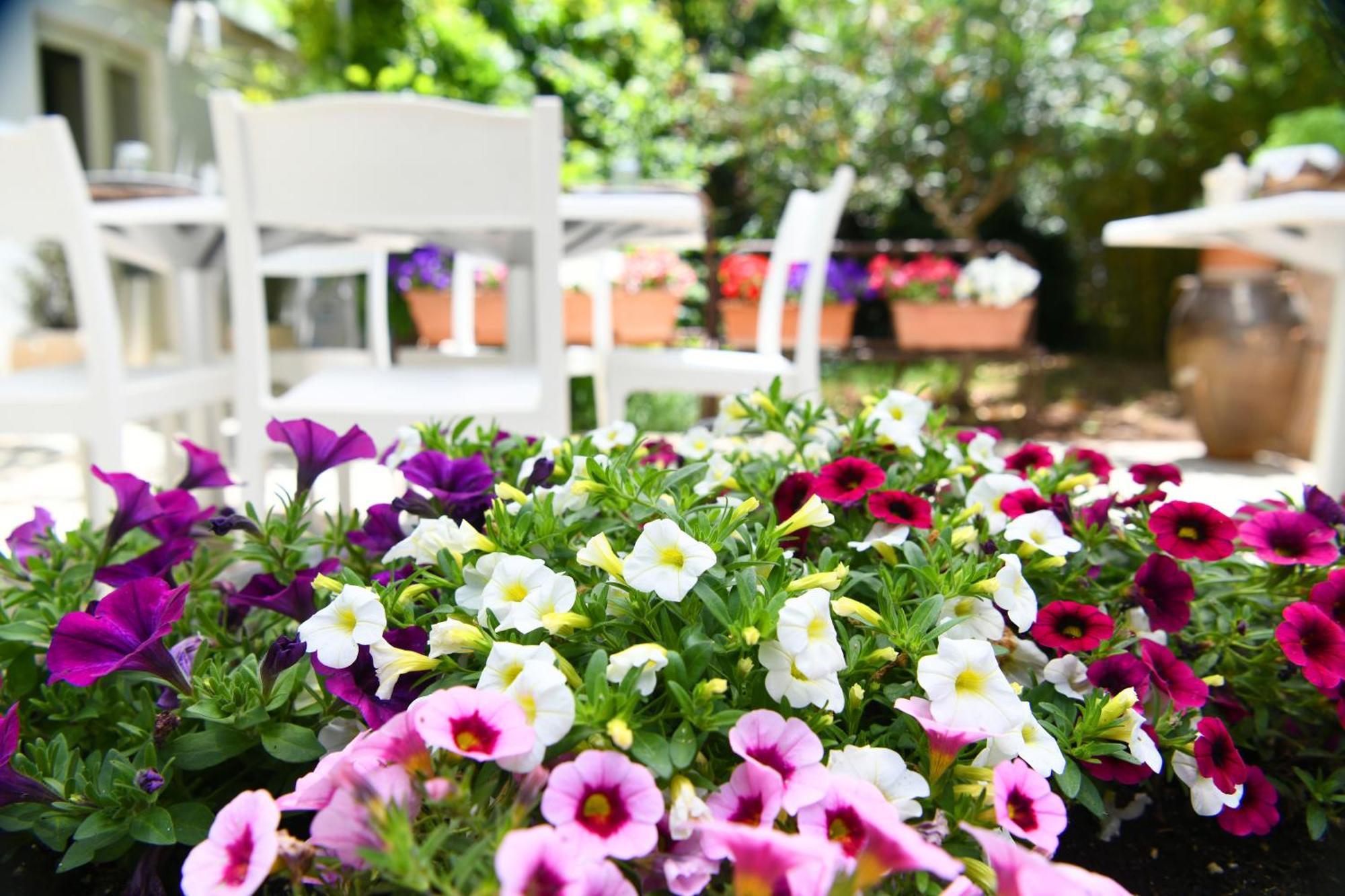 B&B Masseria Piccola Cisternino Dış mekan fotoğraf